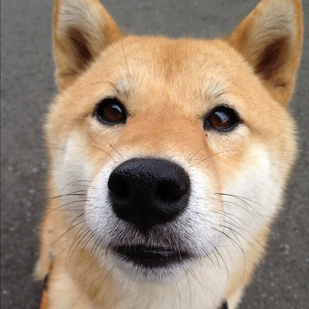 以足球+旅游的区域品牌打造，带动城市经济持续增长，足球带动的经济效益