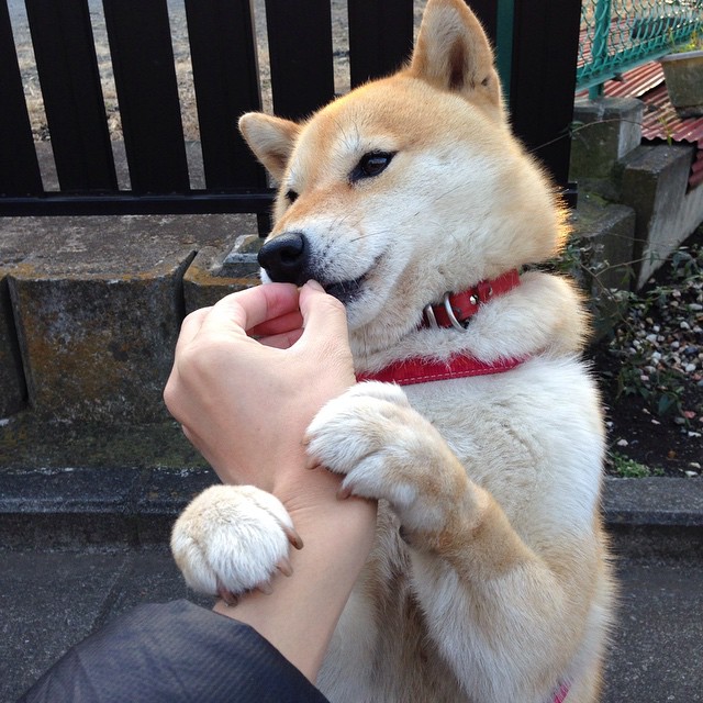 意甲联赛中出现多场逆转比赛，意甲转会最新动态